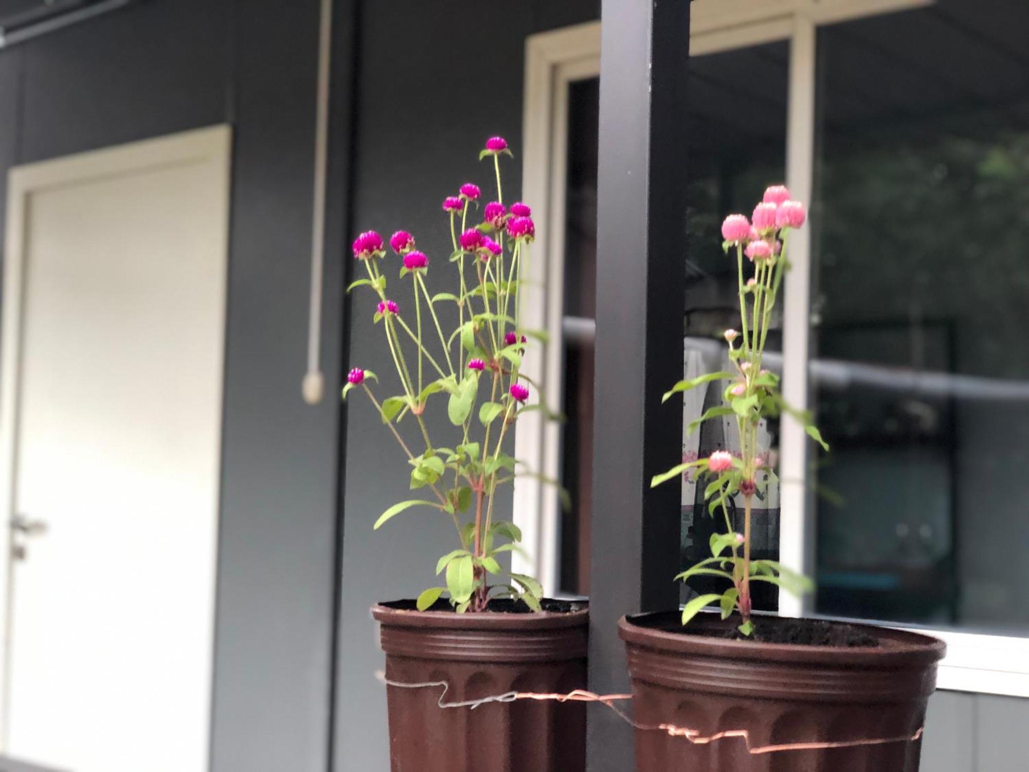 Apartamentos Equipados Dmr #3 Uvita Eksteriør billede